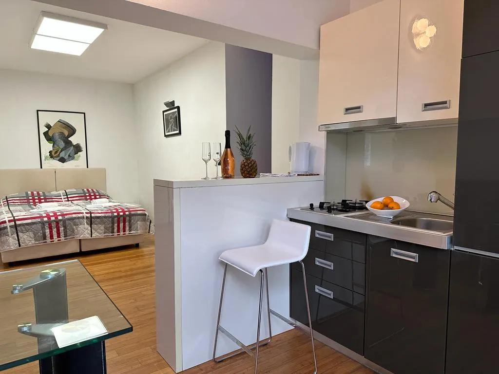 Studio Apartment with Terrace